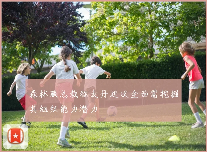 森林狼总裁称麦丹进攻全面需挖掘其组织能力潜力