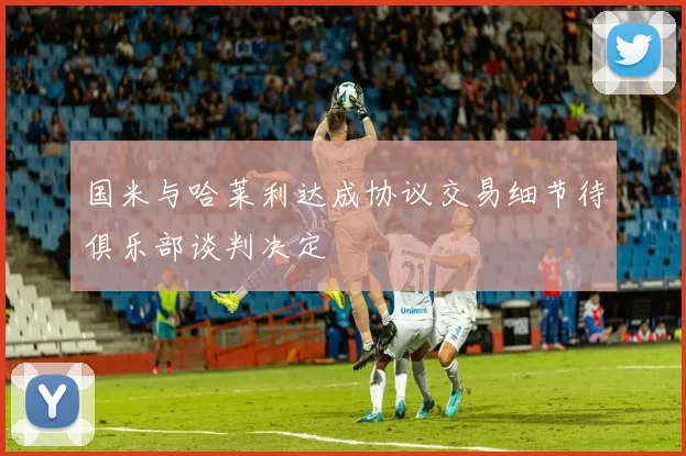 国米与哈莱利达成协议交易细节待俱乐部谈判决定